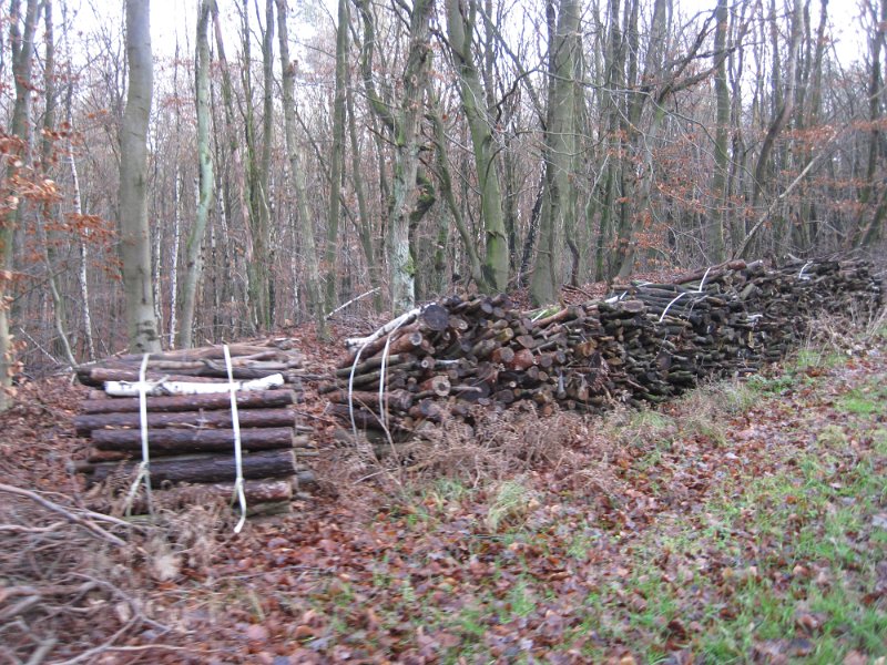 CTF-P Hitzacker 069